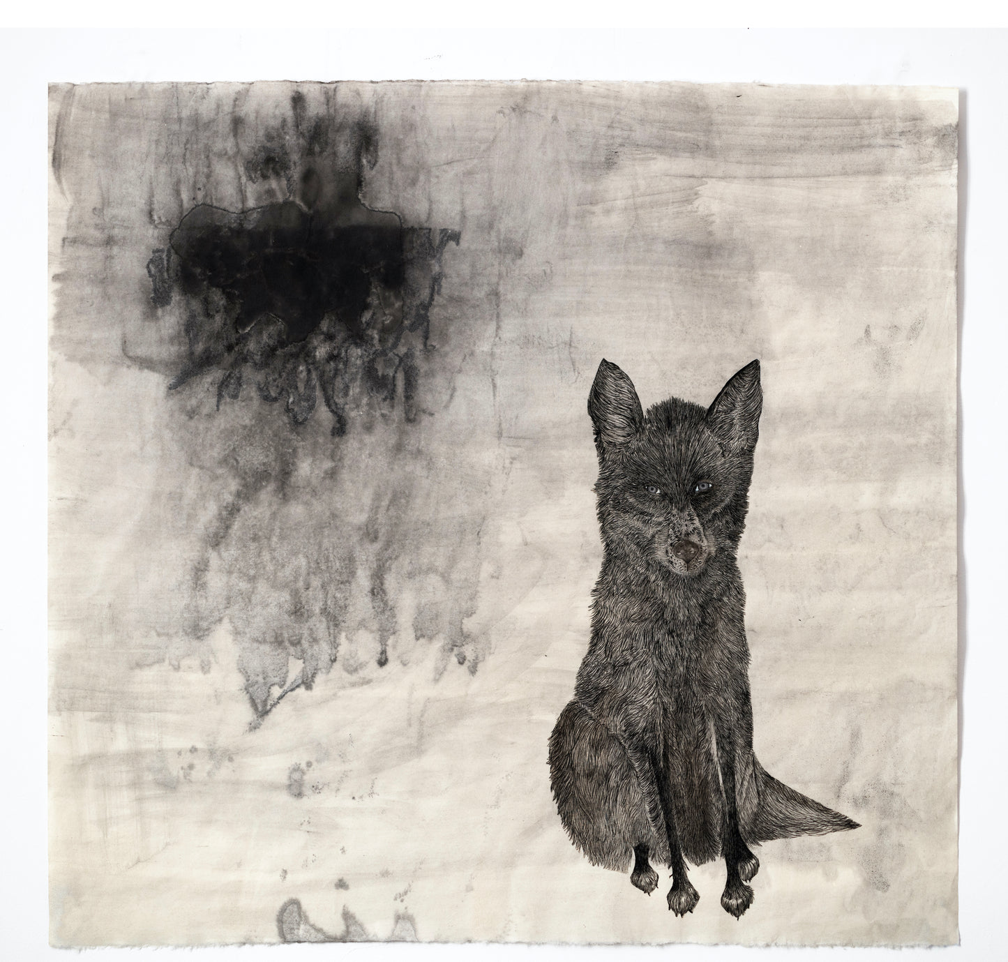 Valerie Hammond | Midnight Hours (Fox)