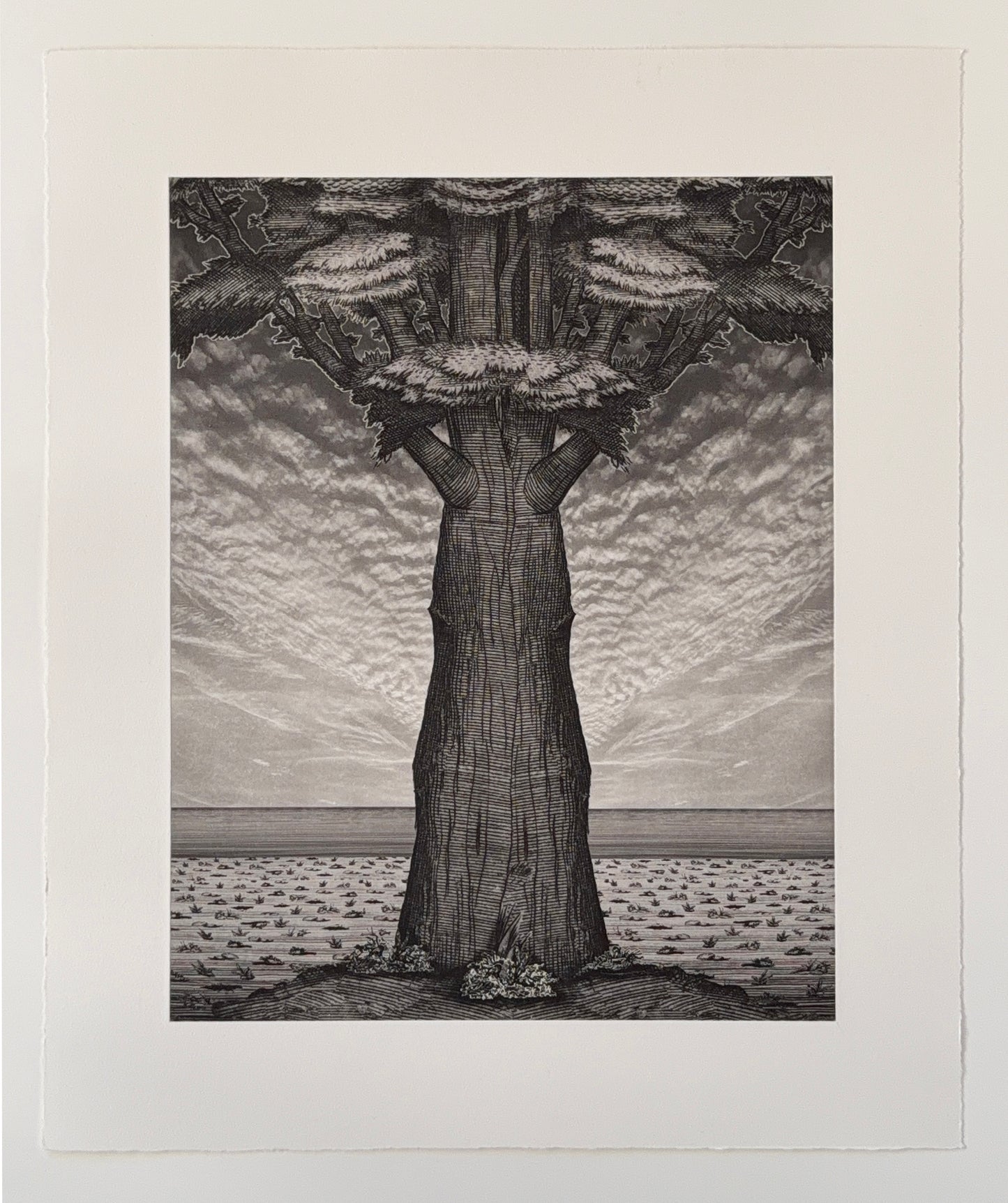 Nicholas Ruth | Gantlet