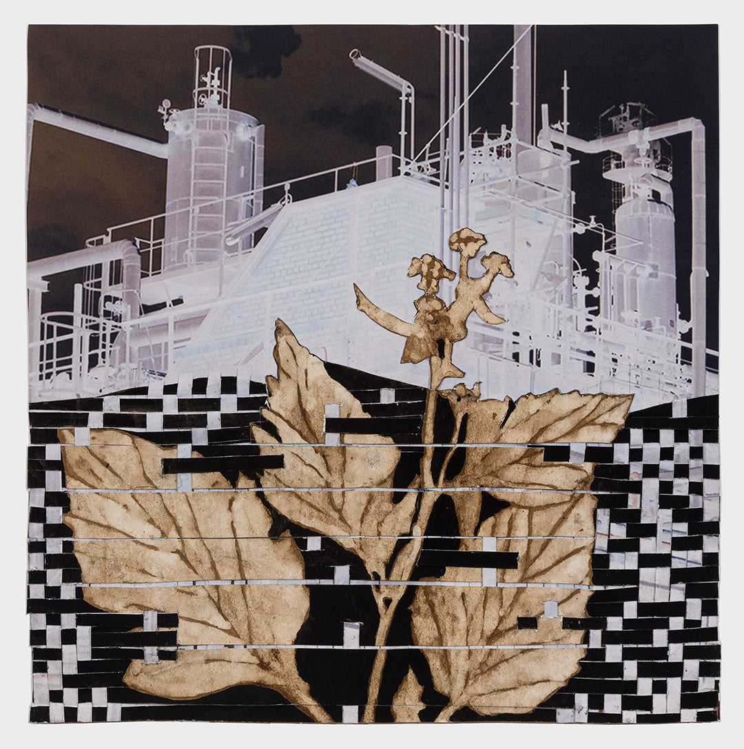 Ellen Driscoll | Oil Refinery with Mustard