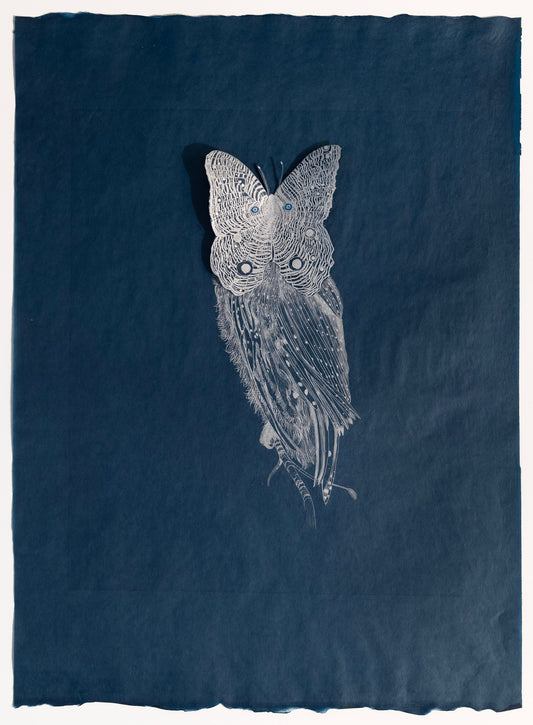 Valerie Hammond | Chimera (Moth Owl, 3D), 2023