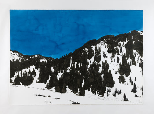 Richard Dupont | MTN (568)