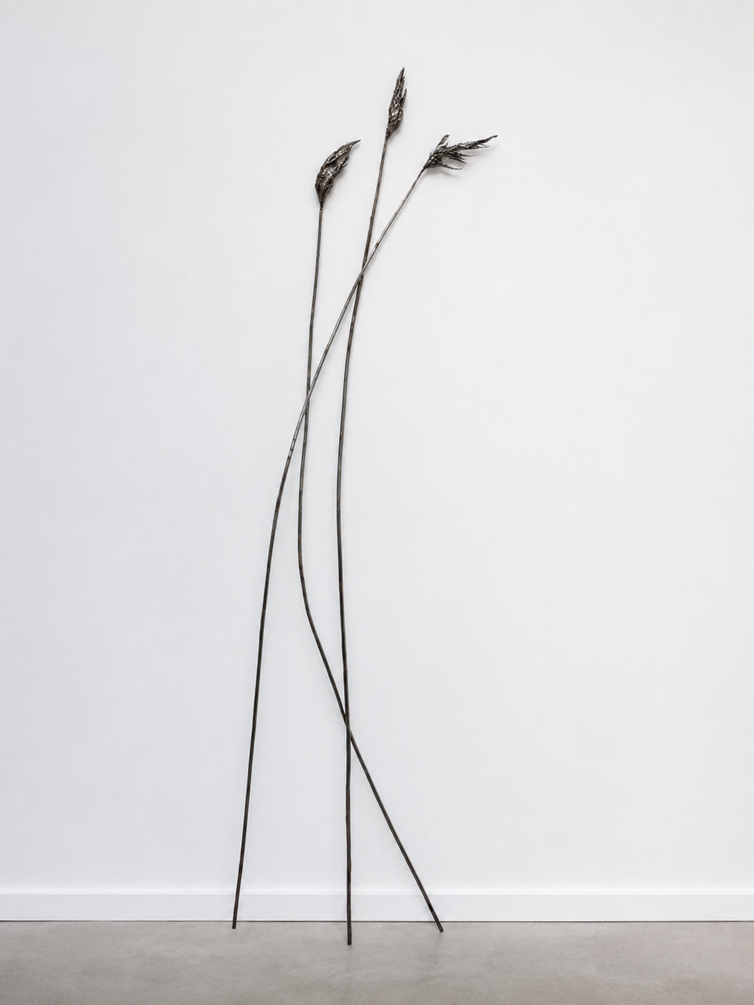 Anne Patterson | Paths We Take I