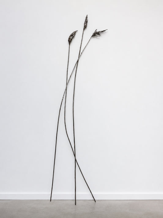 Anne Patterson | Paths We Take I