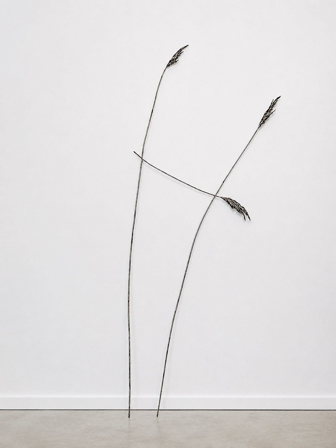 Anne Patterson | Paths We Take II