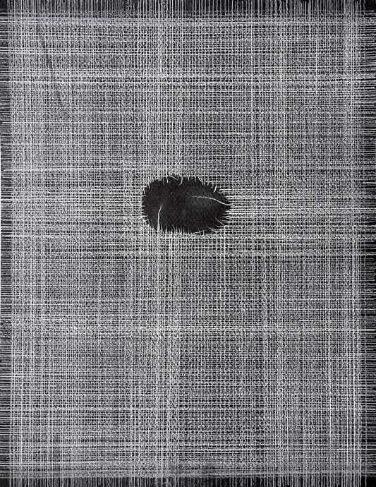 Elizabeth Duffy, Tear Drawing for Jack Whitten