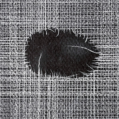 Elizabeth Duffy | Various States of Amnesia
