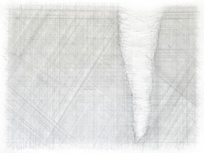 Elizabeth Duffy | Various States of Amnesia