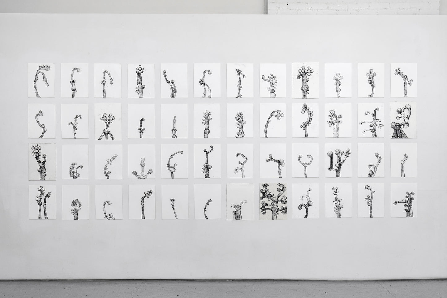 Tara Geer | Strangely Blooming