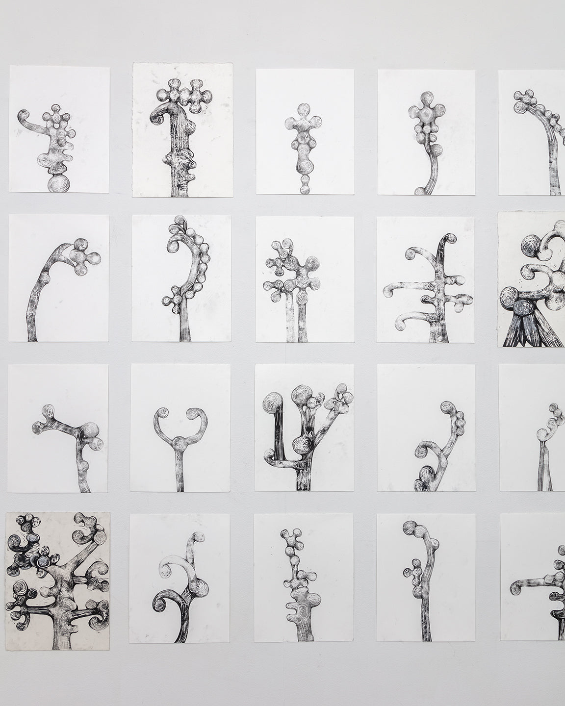 Tara Geer | Strangely Blooming