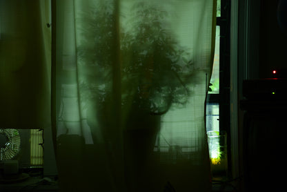 Kathleen Rugh