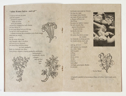 Wildflowers vol. VIII