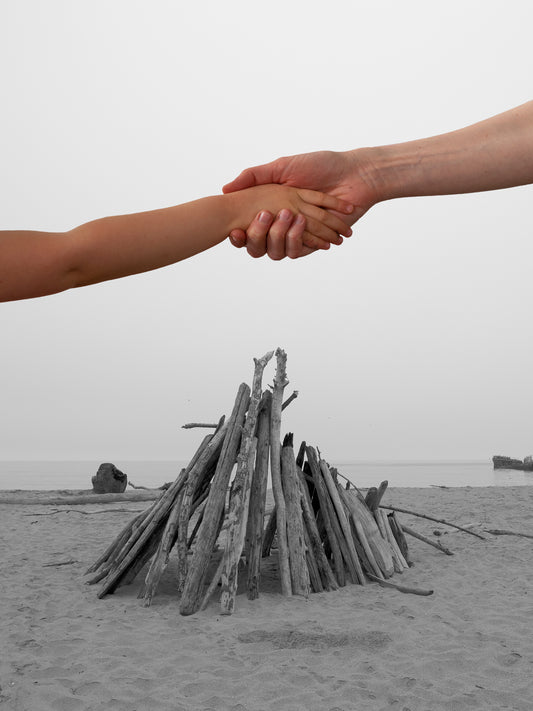 Erik Hougen | Cognitive Dissonance – Miss Democracy