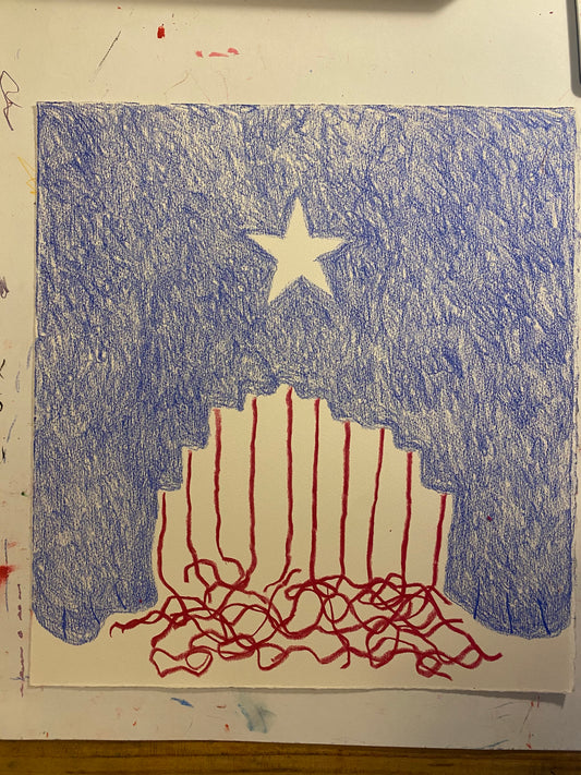 Chuck Webster | Missed Democracy – Miss Democracy